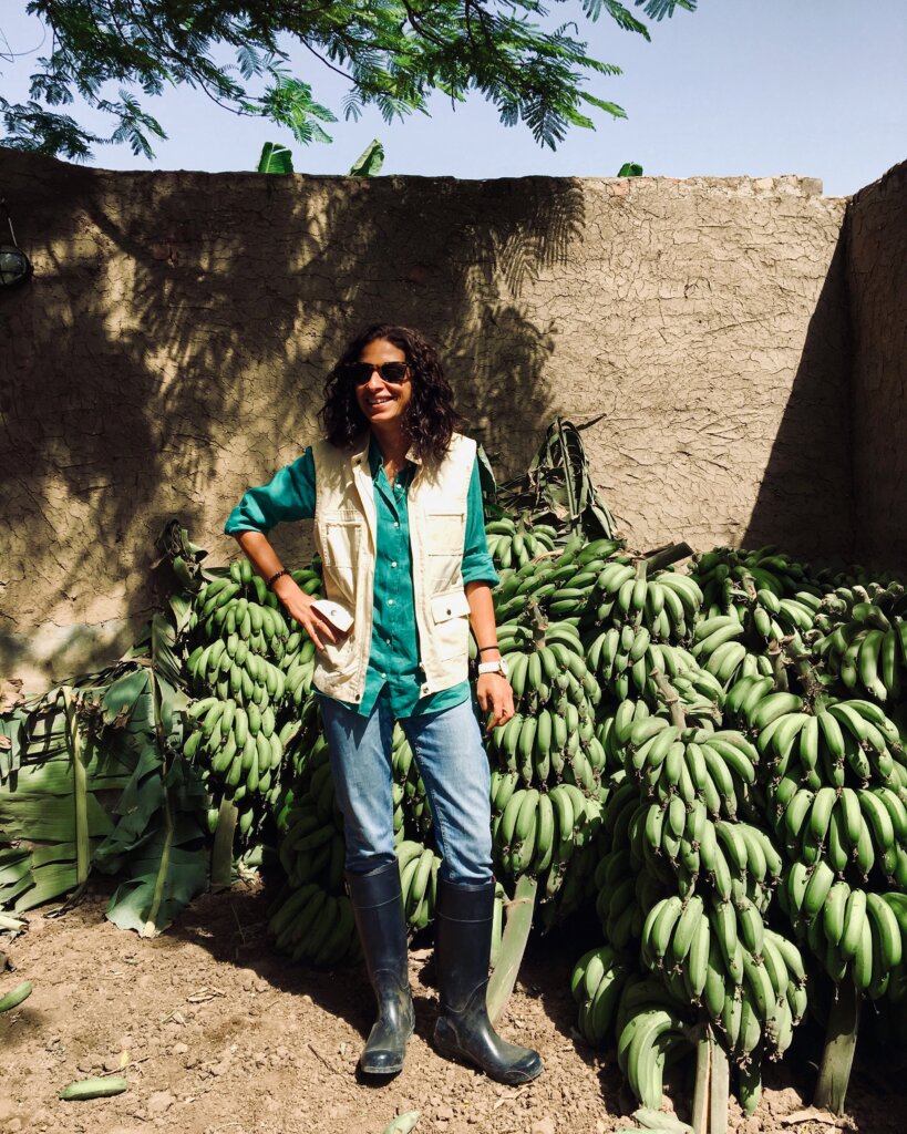 Noha Zayed banana plantation